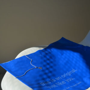 Blue Polymailer's Bags (Printed)